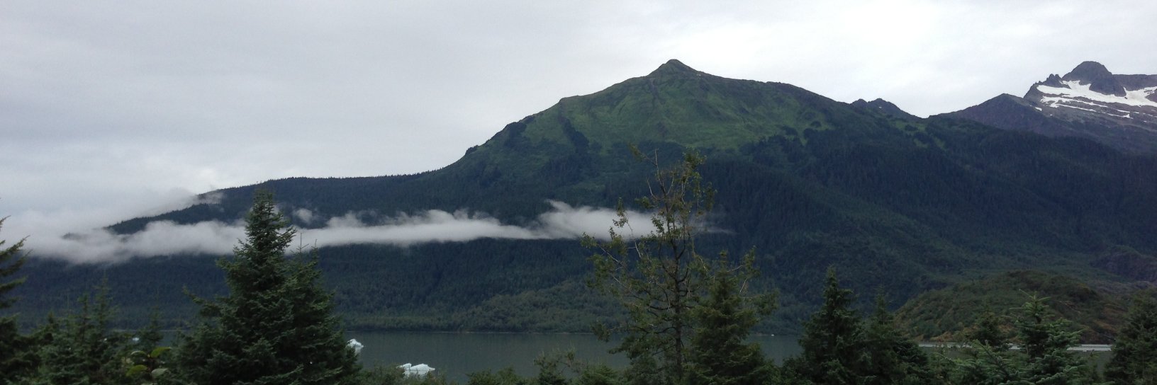 Howard Ginsberg banner