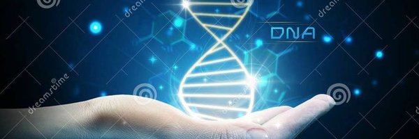 MLarkento Profile Banner