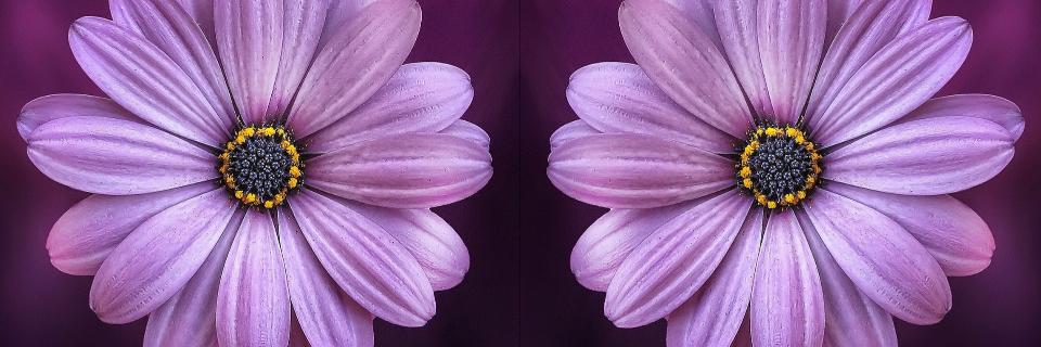LogicLevls's profile banner image