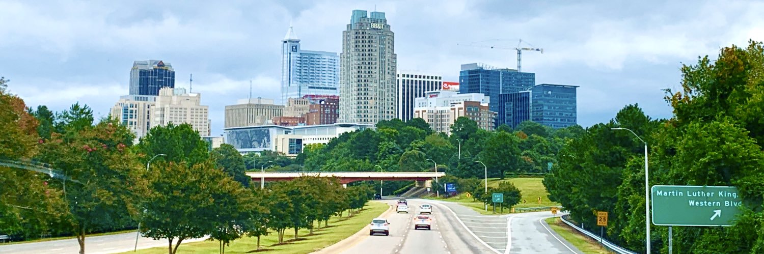 Bridget Chapman banner