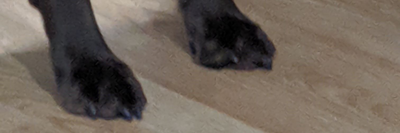 CMIN8HER's profile banner image