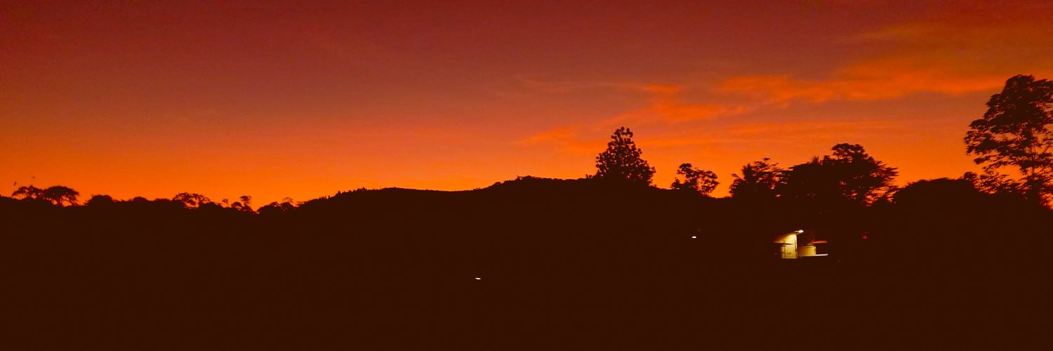 Alonso Martinez📸🦁 banner