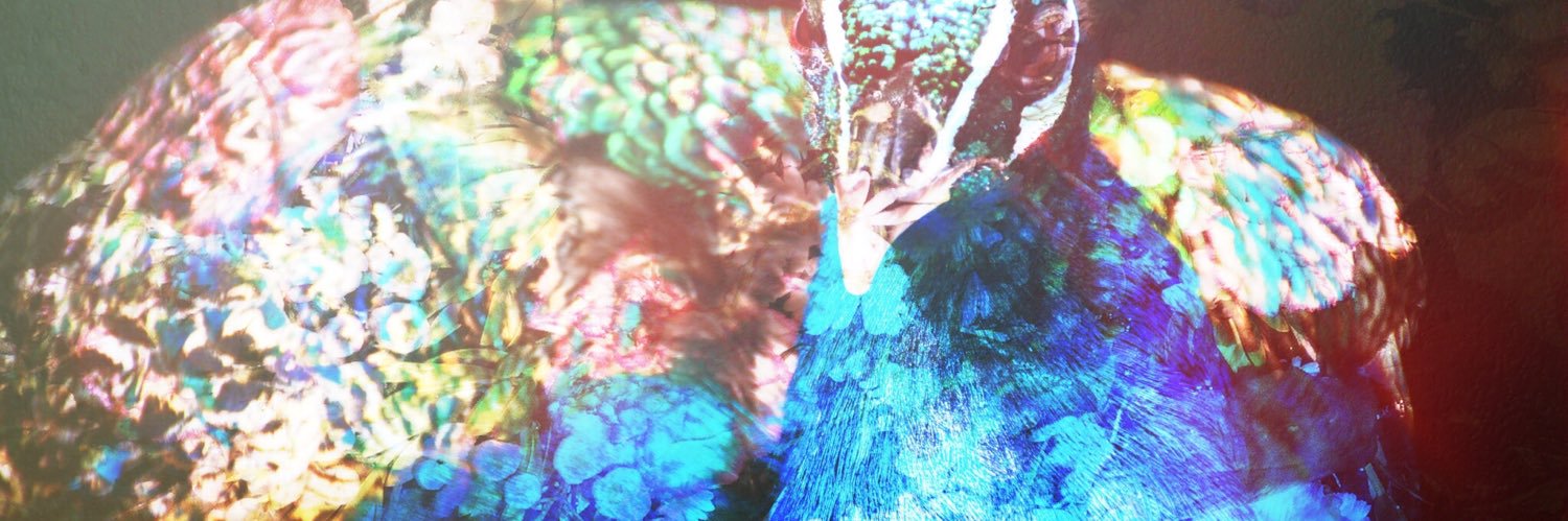 1023mh's profile banner image