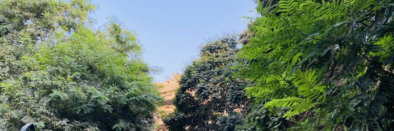 Elbaraael's profile banner image