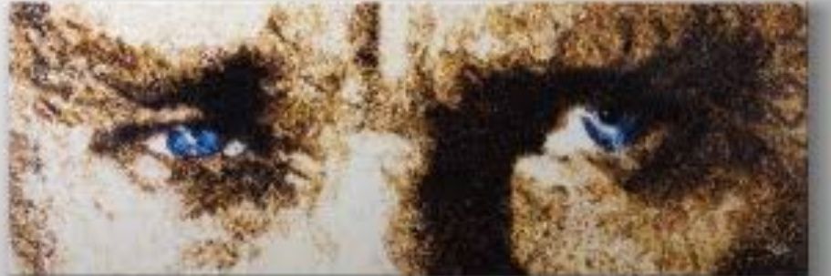 ECandiroglu's profile banner image