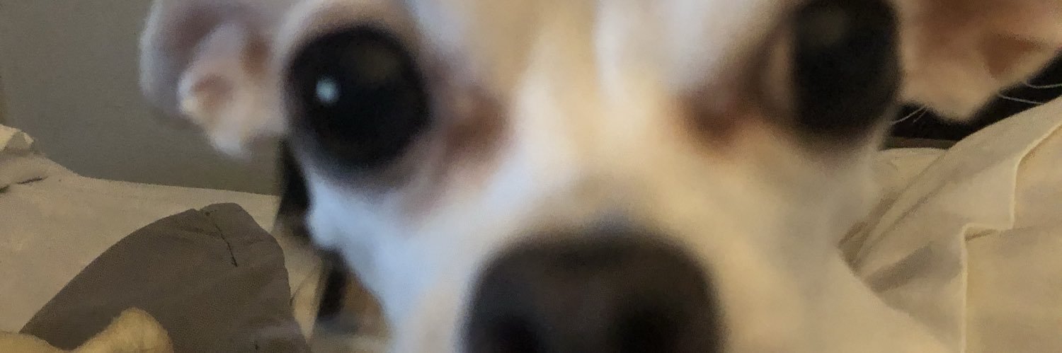 chivangelist's profile banner image