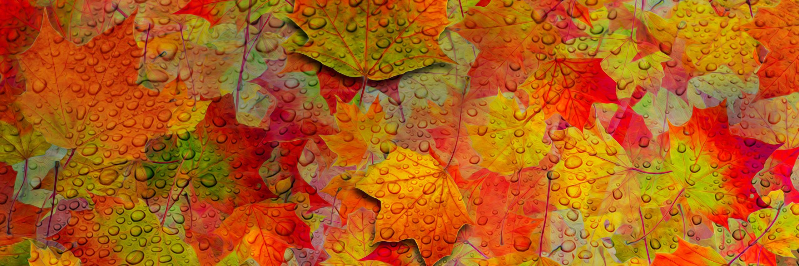 nusratmix's profile banner image