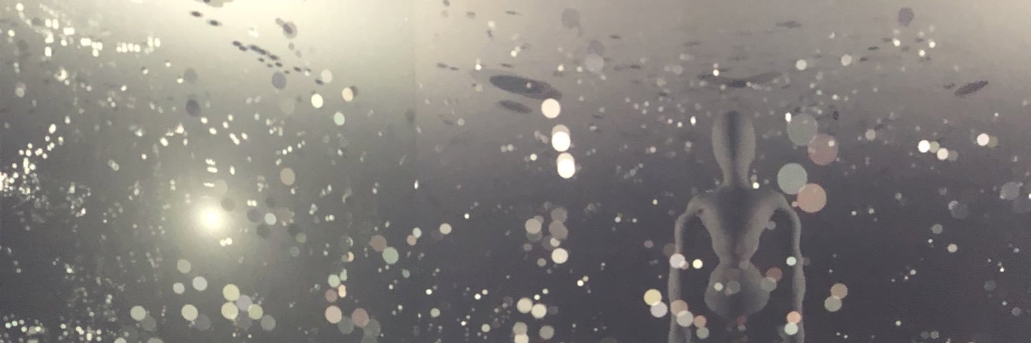 dugan_caitlin's profile banner image