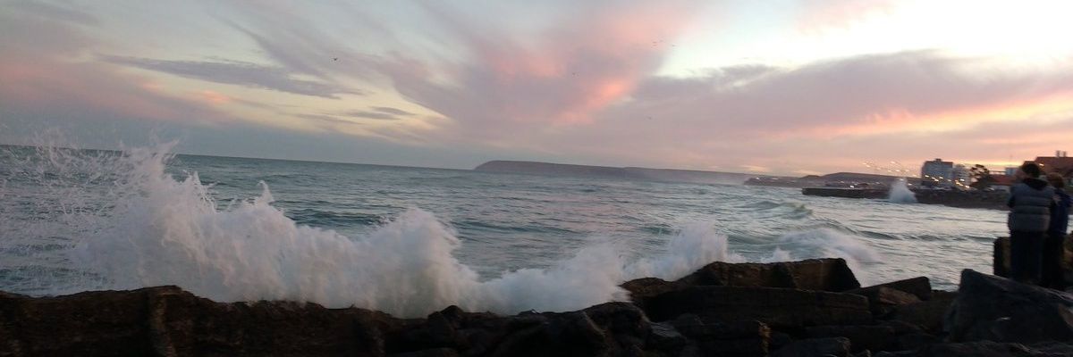 beelucardenas's profile banner image