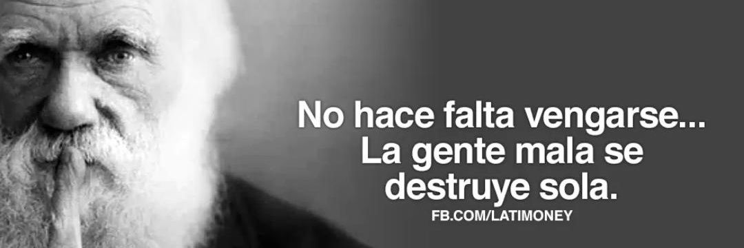alejo_martz's profile banner image