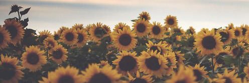 ashleyobrien13's profile banner image
