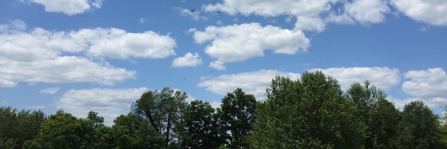 Eric Duckintheweeds 🦆 banner