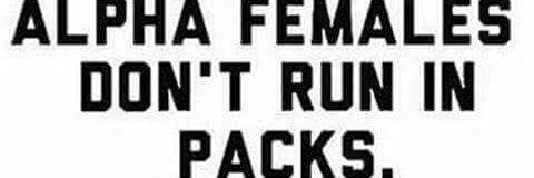 Jessica_Flamond's profile banner image