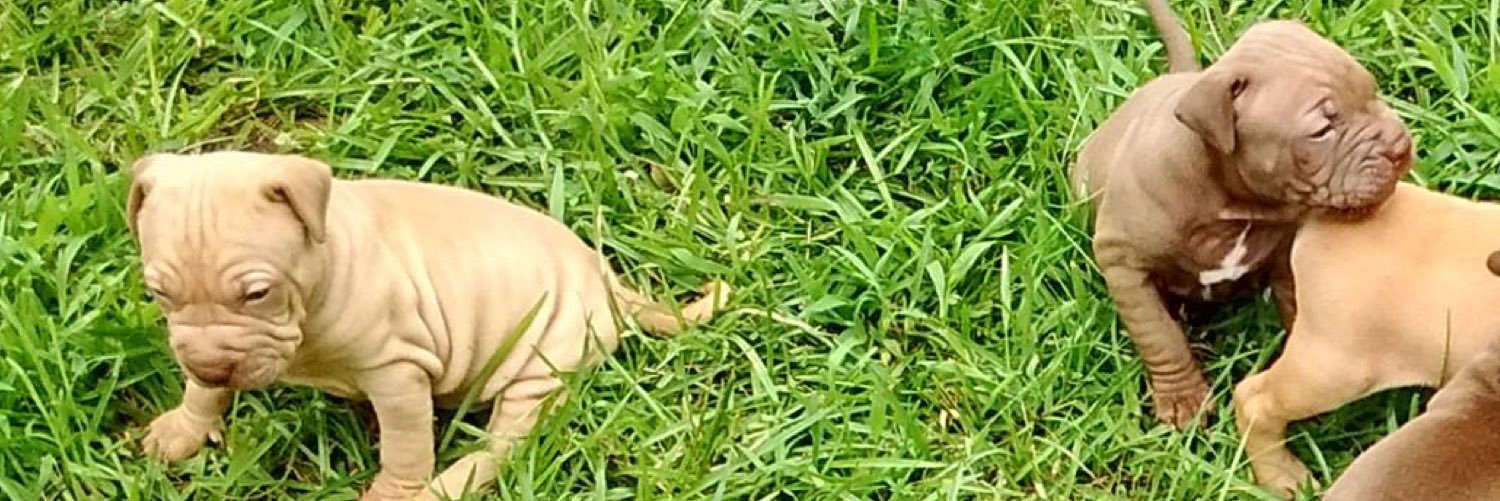 _iTre's profile banner image