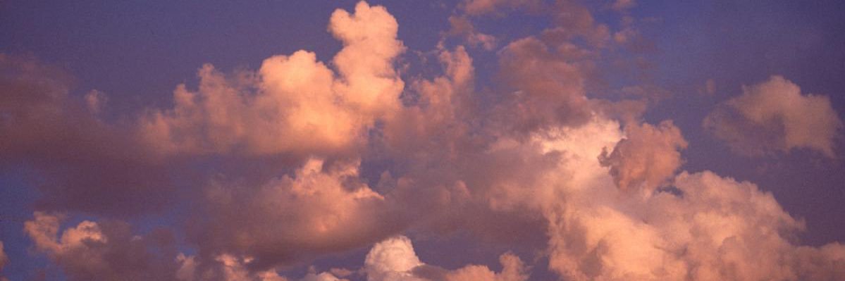 ayyeeallison's profile banner image