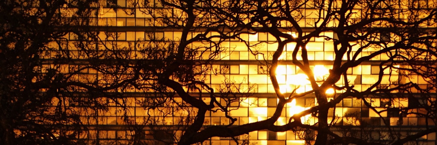wwwendym's profile banner image