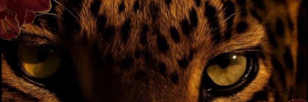badgyaldes's profile banner image