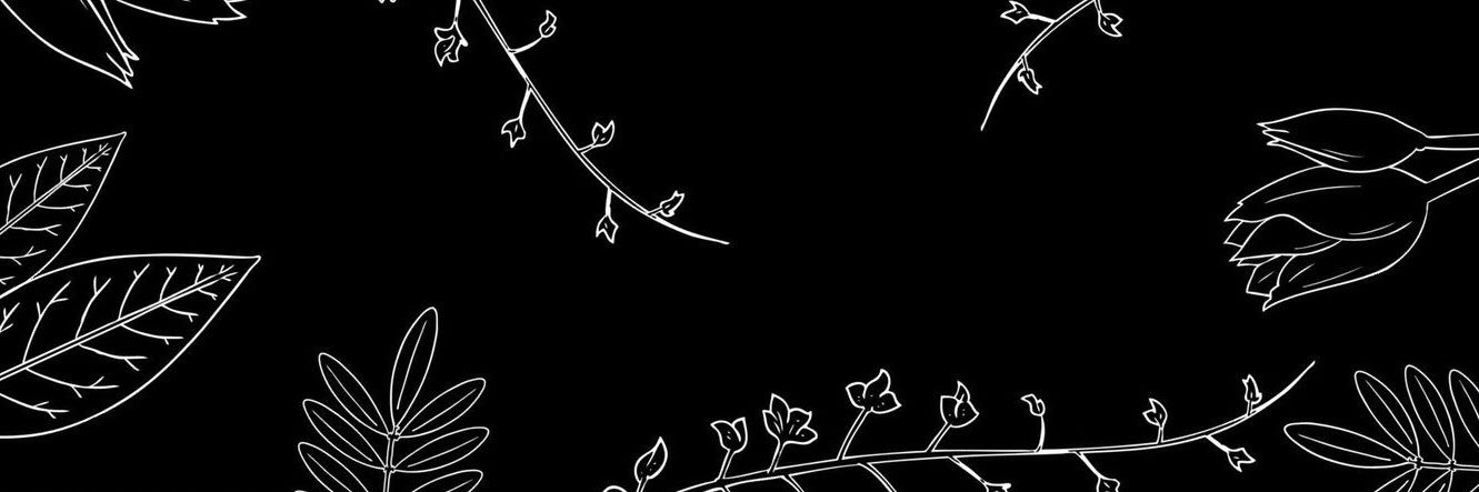 DboraPadilha's profile banner image