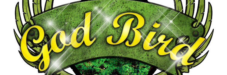 godbirdpro's profile banner image