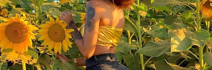 pams_tree's profile banner image