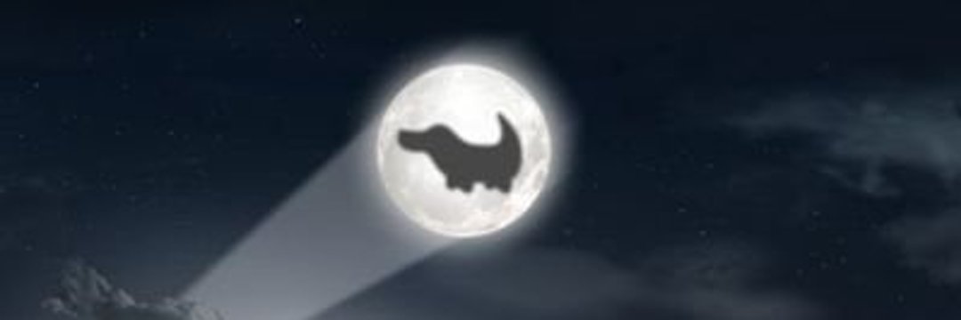 ConTeDiplo's profile banner image