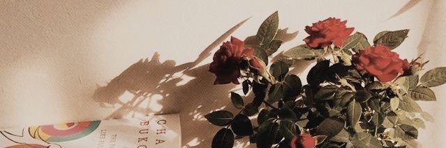 vspvesper's profile banner image