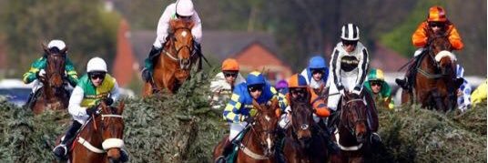 racingtipsuk's profile banner image