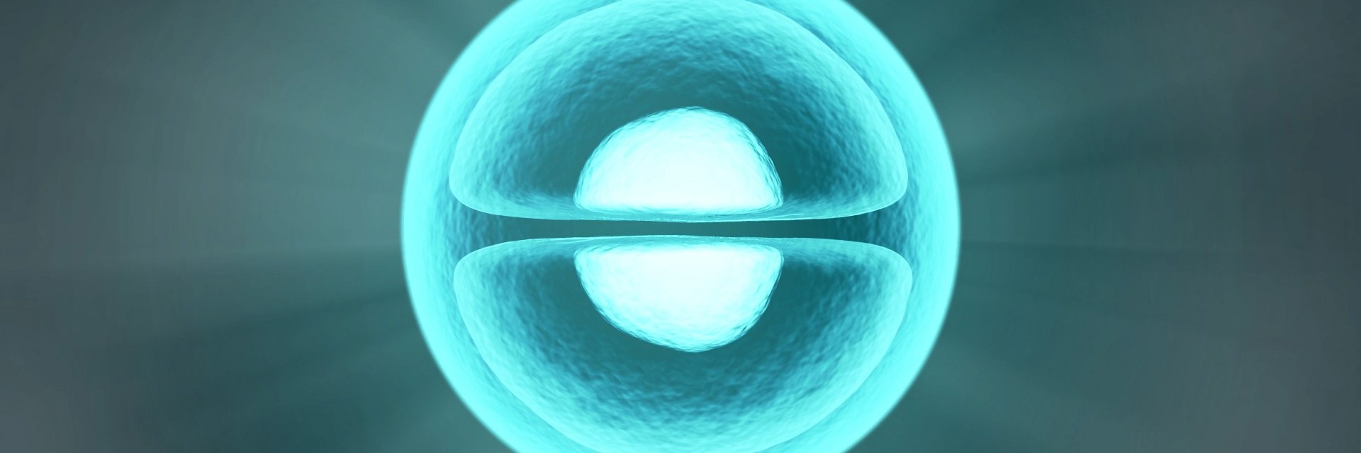 Corelyse banner