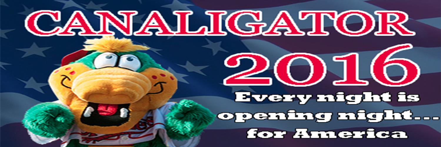 Canaligator2016's profile banner image