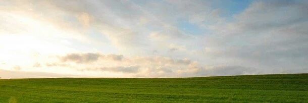tomiorbegozo's profile banner image