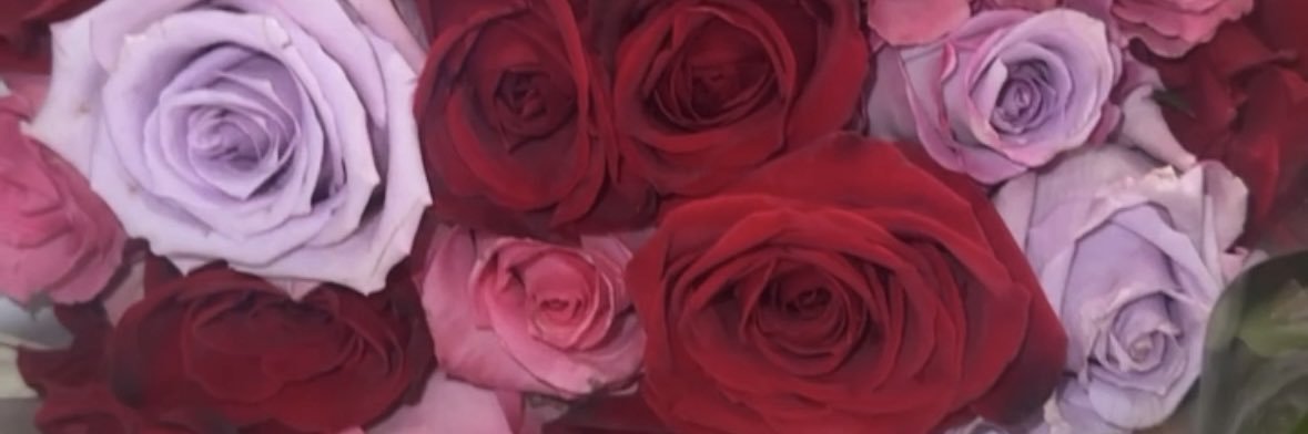 somthinbeautful's profile banner image