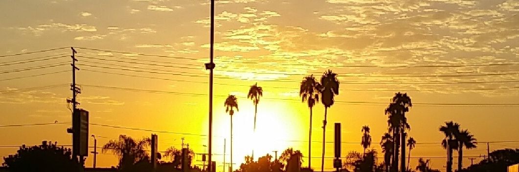roy_avila's profile banner image