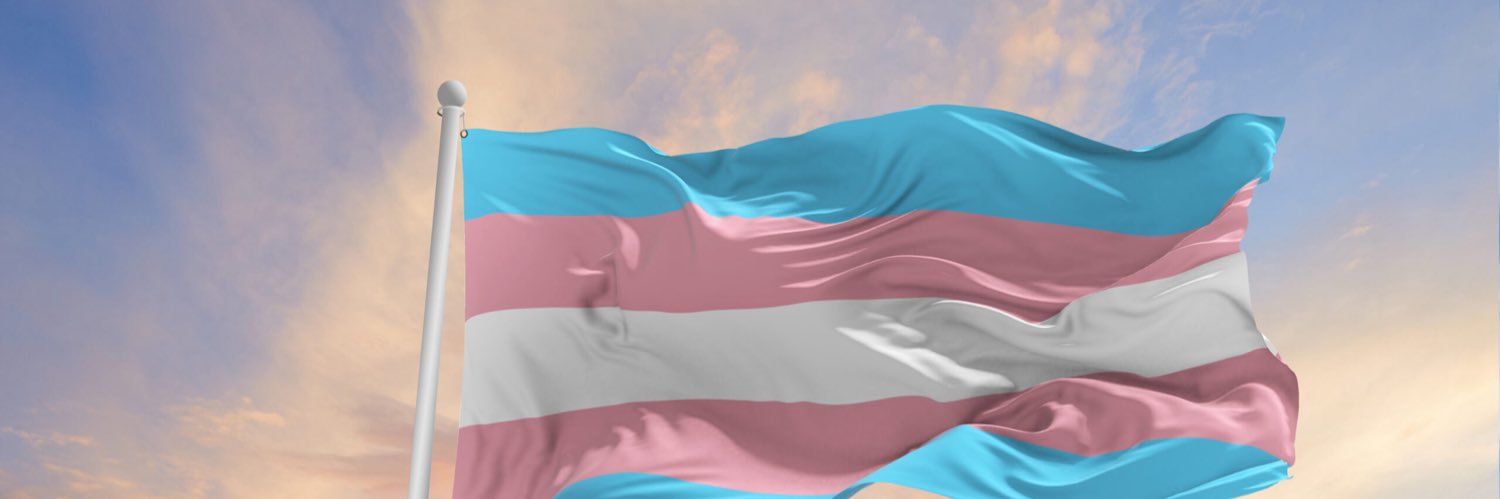 Your tgirl banner