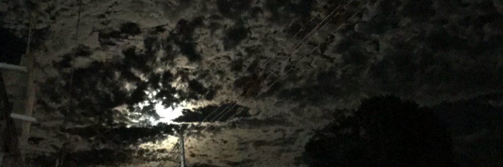 AdrianaChJ's profile banner image