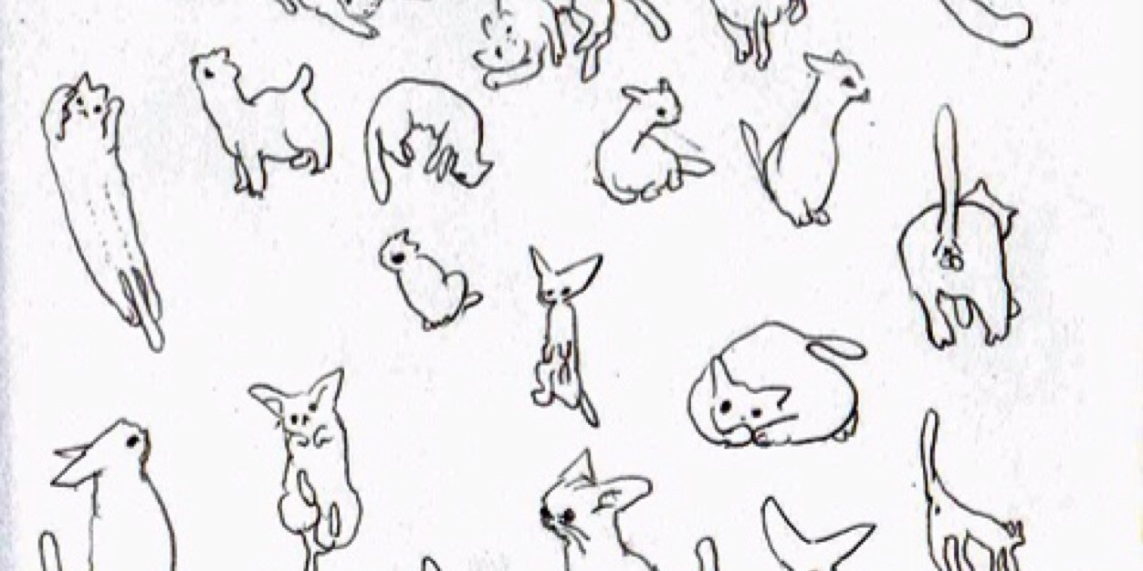 miniipig's profile banner image