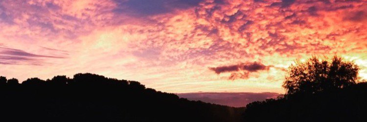 jprib229's profile banner image
