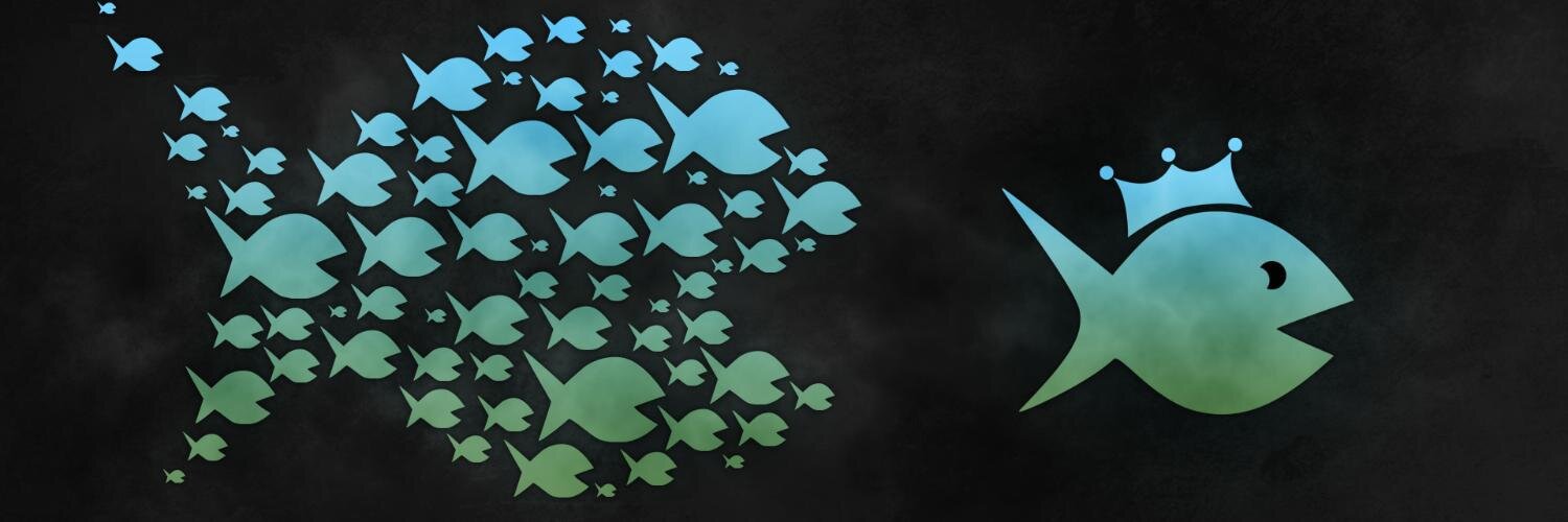 DH_Cohen's profile banner image
