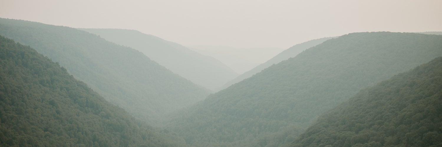 LeahStankus's profile banner image