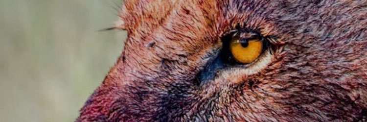 JA2211's profile banner image