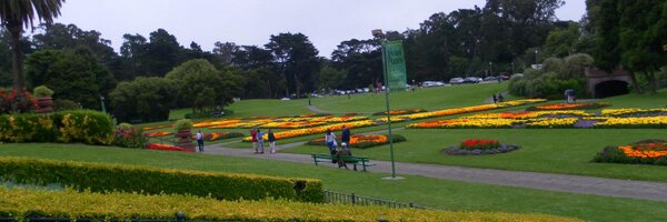 JoeHertvik Profile Banner