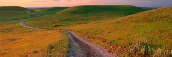 JulieMay615 Profile Banner