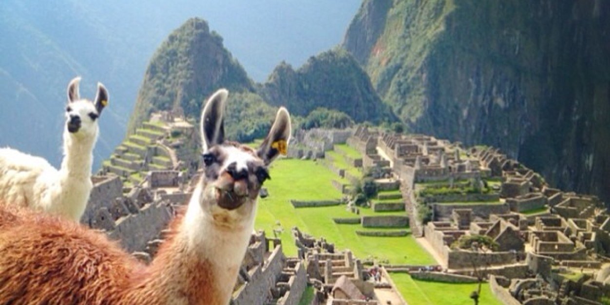 PeruviansBeLike's profile banner image
