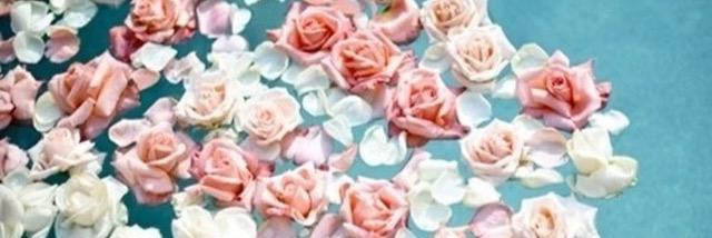 Kay_Clay's profile banner image