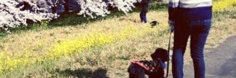 neyan116_214's profile banner image