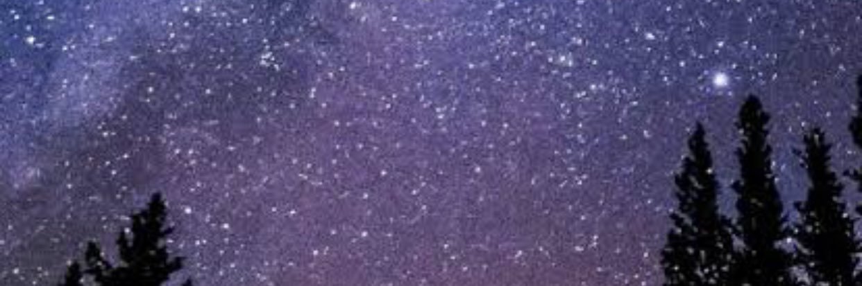 fikamw's profile banner image