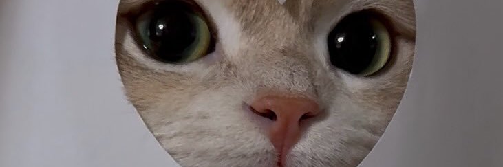 moonsstrexr's profile banner image