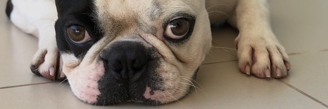 LuaBjk's profile banner image