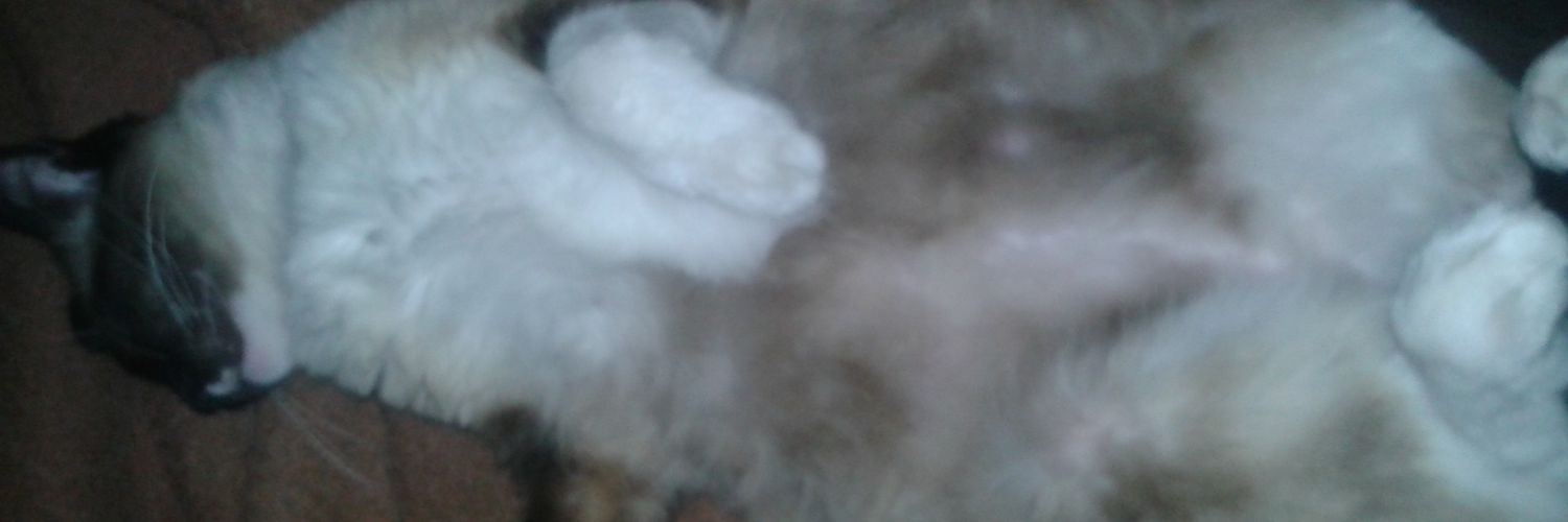 Amanda__ADR6M's profile banner image
