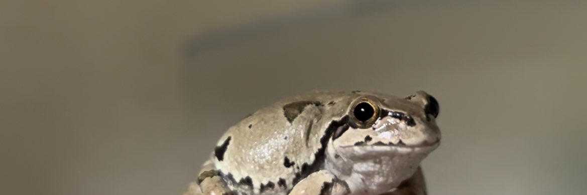 kenthekiller's profile banner image