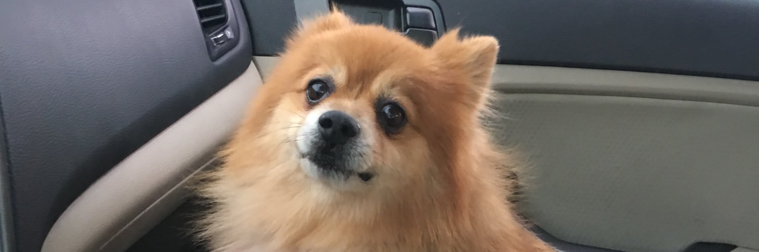 Kayliesaid's profile banner image